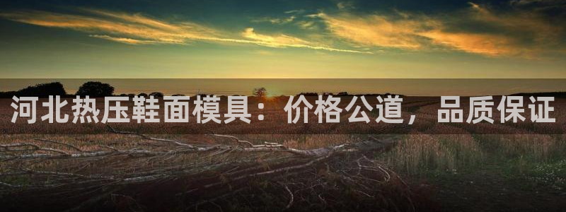 易倍思怎么样