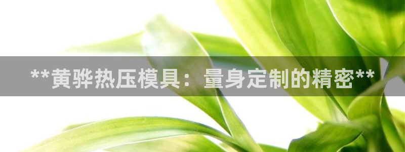 易倍app官网下载：**黄骅热压模具：量身定制的精密**