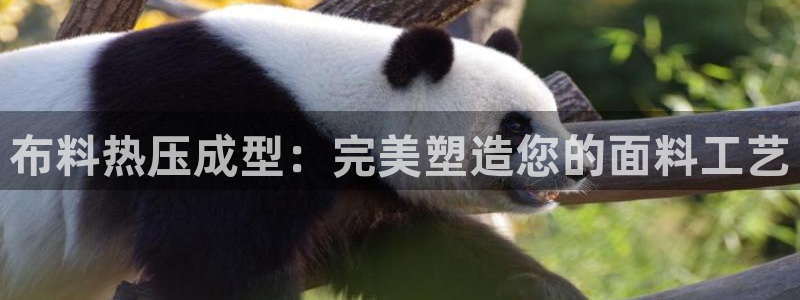 emc易倍平台：布料热压成型：完美塑造您的面料工艺