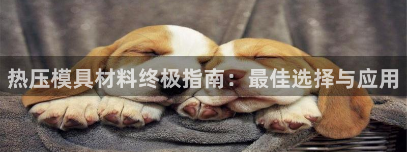 易倍电竞安装教程：热压模具材料终极指南：最佳选择与应用