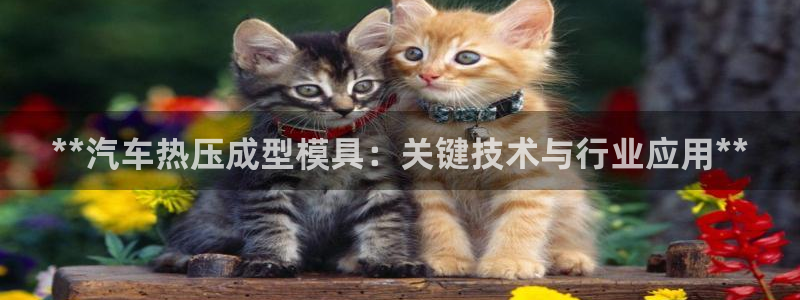 emc易倍官方平台：**汽车热压成型模具：关键技术与行业