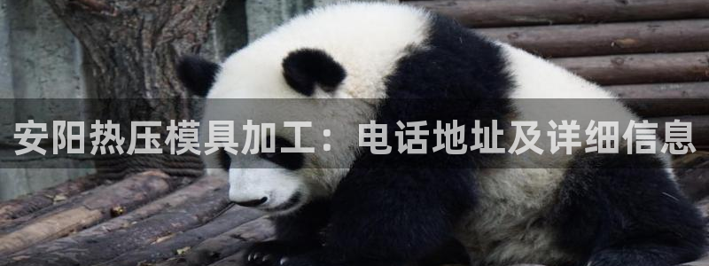 易倍申安理申区别：安阳热压模具加工：电话地址及详细信息