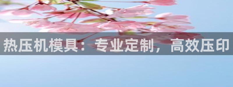 四川易倍易企业管理有限公司：热压机模具：专业定制，高效压