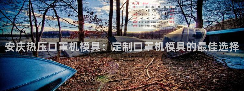 emc易倍官网app官网：安庆热压口罩机模具：定制口罩机