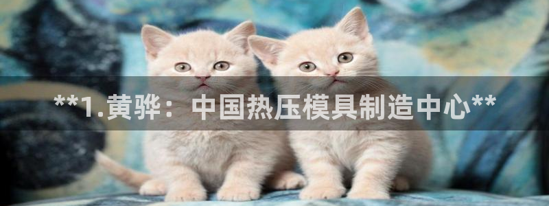 易倍下载：**1.黄骅：中国热压模具制造中心**