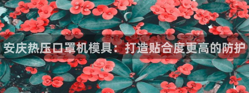 易倍达科技有限公司官网
