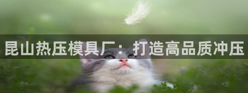 易倍康简历