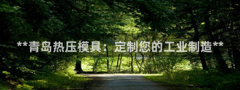 emc32软件安装：**青岛热压模具：定制您的工业制造*