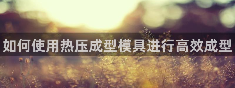 emc易倍：如何使用热压成型模具进行高效成型
