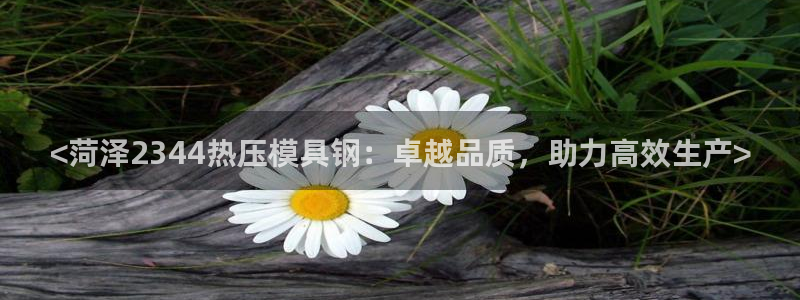 易倍易倍单词官方网站