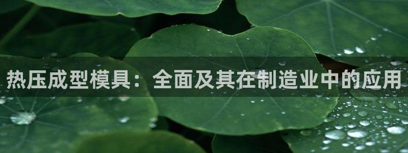 易倍电竞：热压成型模具：全面及其在制造业中的应用