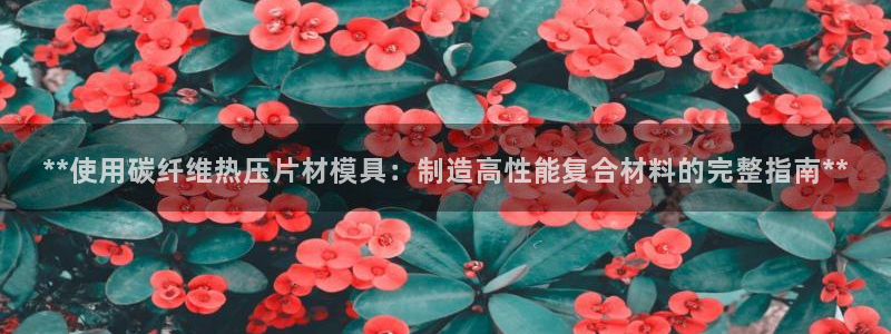 易倍申安理申区别：**使用碳纤维热压片材模具：制造高性能