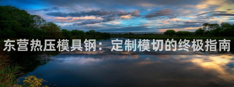 杭州易倍达科技有限公司怎么样：东营热压模具钢：定制模切的
