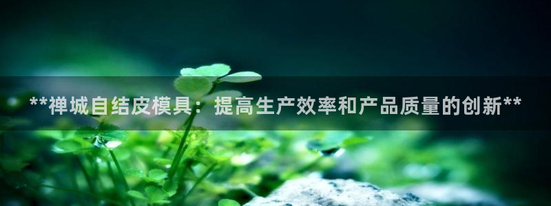 易倍网络技术有限公司是干嘛的：**禅城自结皮模具：提高生