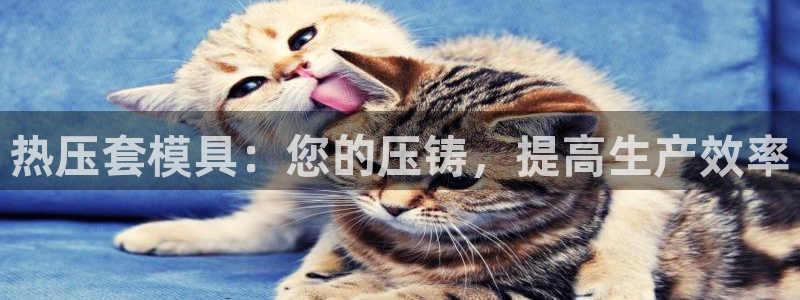 武汉易倍捷科技有限公司：热压套模具：您的压铸，提高生产效