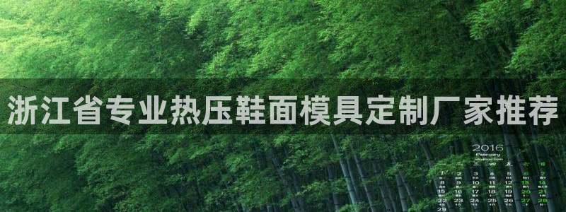 易倍单词官方网站：浙江省专业热压鞋面模具定制厂家推荐