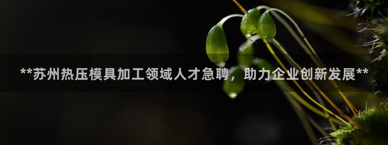emc平台：**苏州热压模具加工领域人才急聘，助力企业创