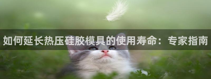 易倍申片说明书：如何延长热压硅胶模具的使用寿命：专家指南
