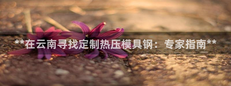 易倍纤代餐奶昔怎么样：**在云南寻找定制热压模具钢：专家