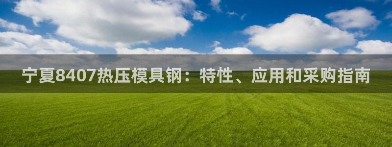 易倍达怎么样