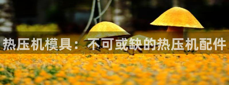 emc易倍官网首页进入