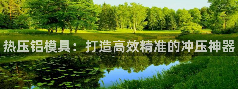 易倍emc安全吗：热压铝模具：打造高效精准的冲压神器
