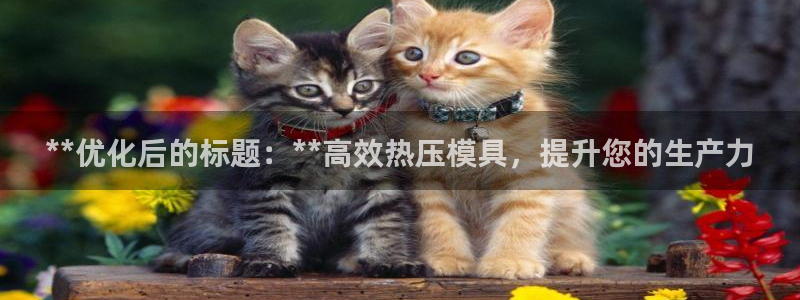 emc频率：**优化后的标题：**高效热压模具，提升您的