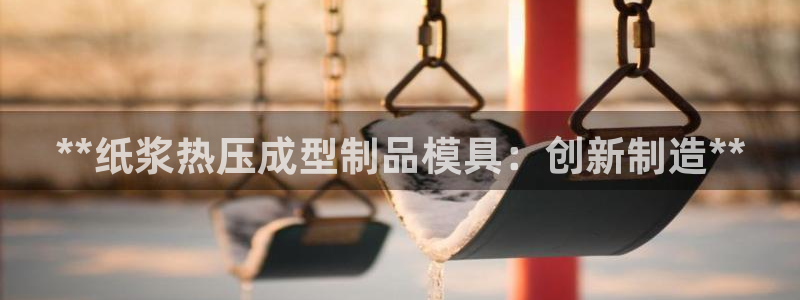 杭州易倍达：**纸浆热压成型制品模具：创新制造**