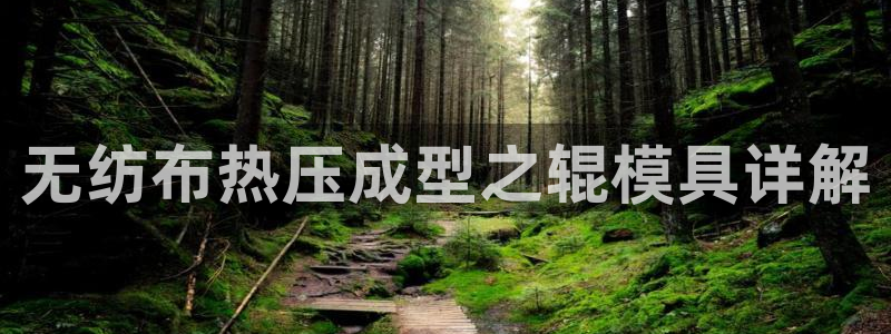 易倍单词app下载