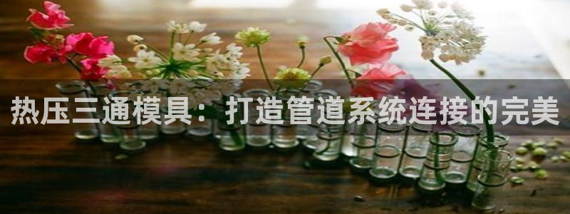 易倍全站下载：热压三通模具：打造管道系统连接的完美