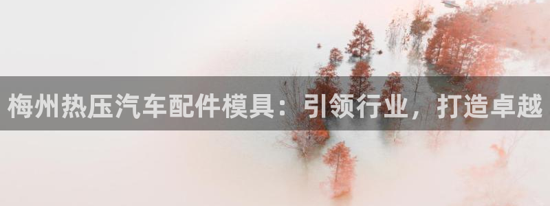 emc易赔