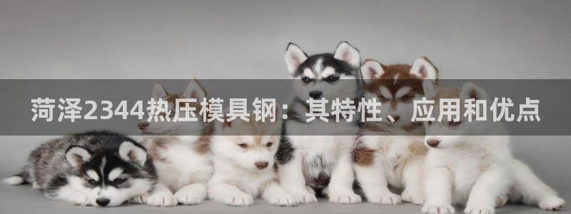 emc易倍在线登录