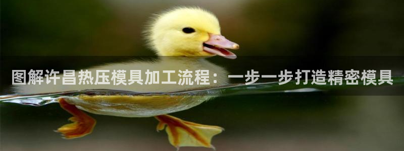 易倍申服用方法