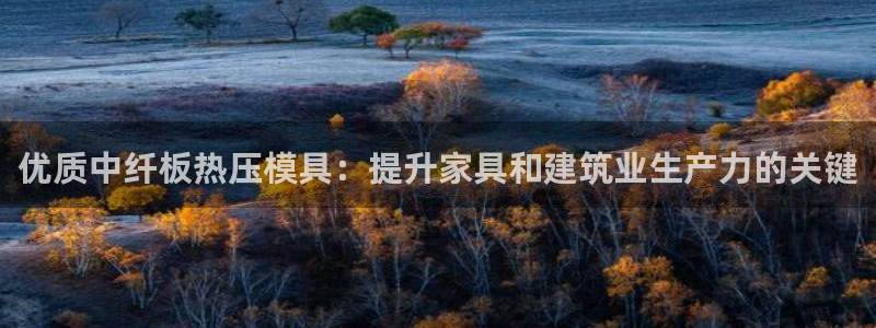 易倍纤减肥反弹不：优质中纤板热压模具：提升家具和建筑业生