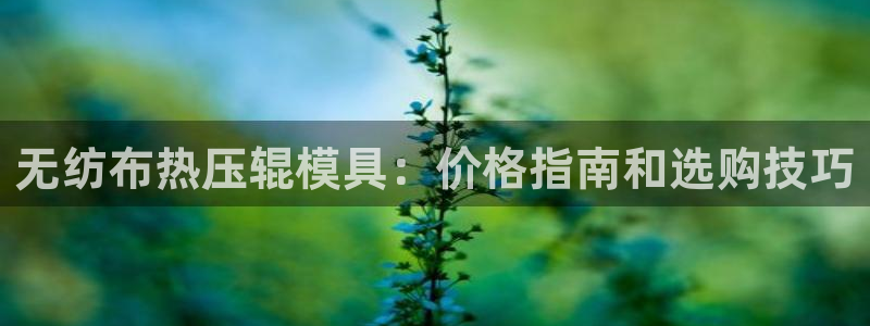 易倍emc网址：无纺布热压辊模具：价格指南和选购技巧