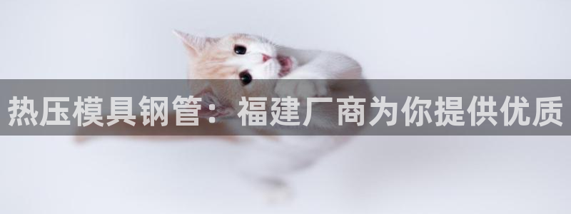 易倍网络技术有限公司