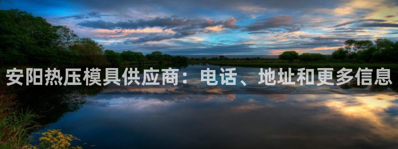 易倍达怎么样