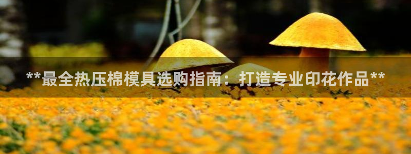 易倍网络技术有限公司官网：**最全热压棉模具选购指南：打