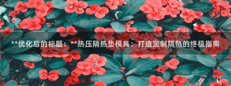 emc备份软件：**优化后的标题：**热压隔热垫模具：打