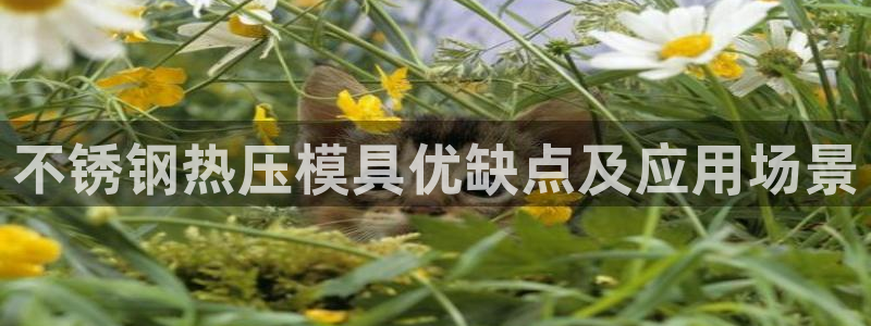 易倍纤多少钱