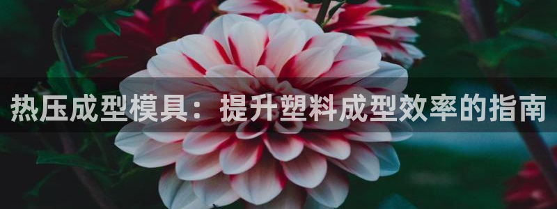 易倍思怎么样：热压成型模具：提升塑料成型效率的指南