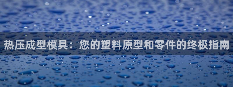 EMC易倍官方平台：热压成型模具：您的塑料原型和零件的终