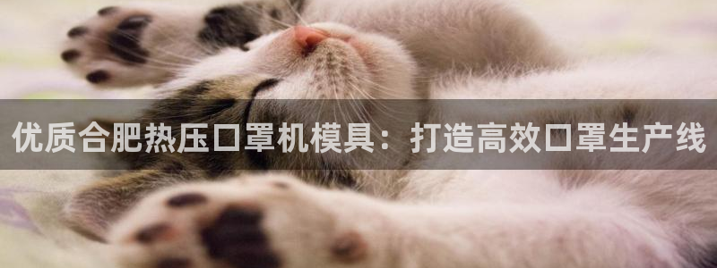 emc易倍网页版：优质合肥热压口罩机模具：打造高效口罩生