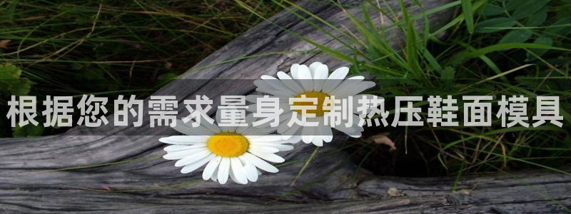 emc易倍老板