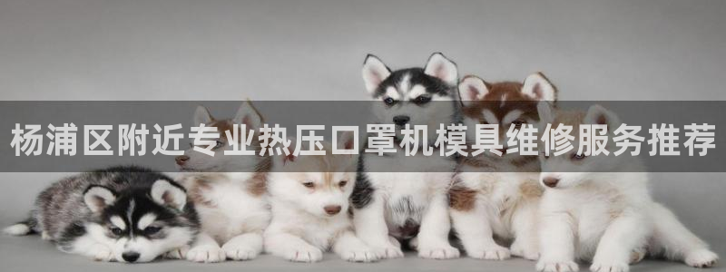 易倍企业管理软件怎么样