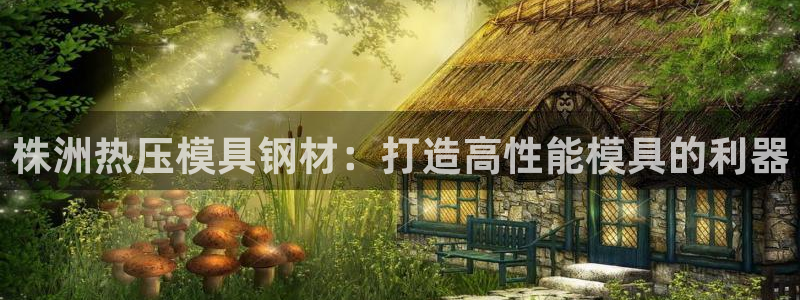 易倍网络技术有限公司招聘：株洲热压模具钢材：打造高性能模