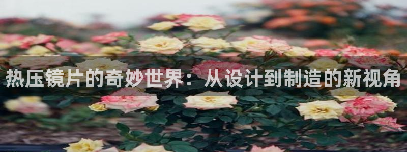 EMC易倍官方平台：热压镜片的奇妙世界：从设计到制造的新