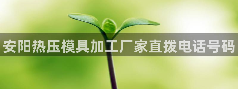 易倍下载