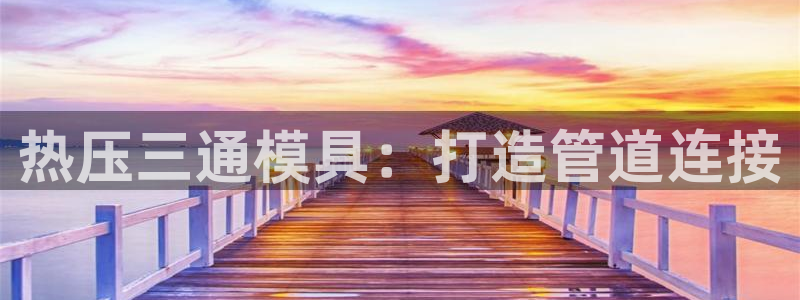 易倍申多少钱