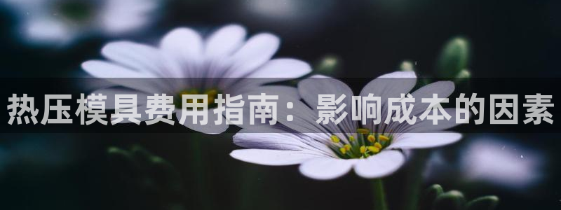 emc易倍首页：热压模具费用指南：影响成本的因素